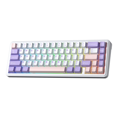 Aula F65 Nimbus V3 Switch Mekanik RGB TKL Makrolu Hot Swap Kablosuz Klavye Pastel - Aula