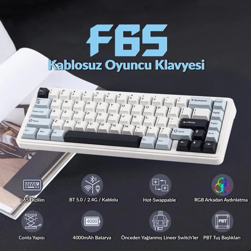 Aula F65 Reaper Switch Mekanik RGB TKL Makrolu Hot Swap Kablosuz Klavye Buz Mavisi - 2