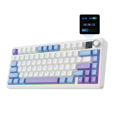 Aula F75 Max Mekanik RGB TKL Reaper Switch Kablosuz Makrolu Hot Swap Klavye Mor - Aula