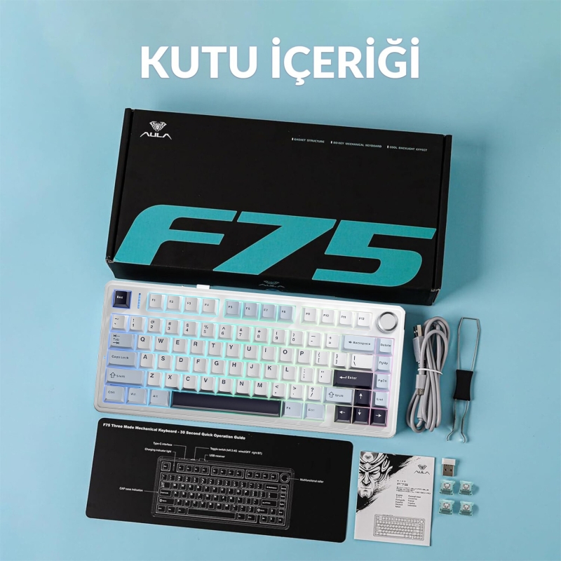 Aula F75 Mekanik RGB TKL Ice Vein Switch Kablosuz Makrolu Hot Swap Klavye Lacivert - 11