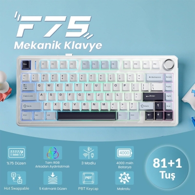 Aula F75 Mekanik RGB TKL Ice Vein Switch Kablosuz Makrolu Hot Swap Klavye Lacivert - 3