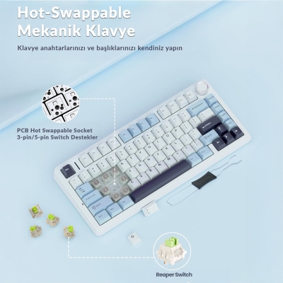 Aula F75 Mekanik RGB TKL Reaper Switch Kablosuz Makrolu Hot Swap Klavye Siyah - 5