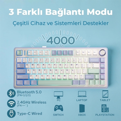 Aula F75 Mekanik RGB TKL Reaper Switch Kablosuz Makrolu Hot Swap Klavye Pastel - 3