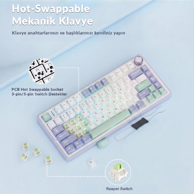Aula F75 Mekanik RGB TKL Reaper Switch Kablosuz Makrolu Hot Swap Klavye Pastel - 5