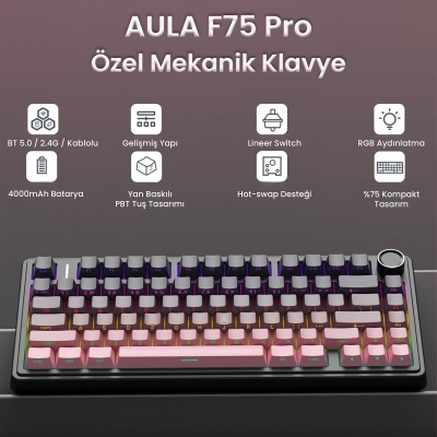 Aula F75 Mekanik RGB TKL Reaper Switch Kablosuz Makrolu Hot Swap Klavye Gradyan Pembe - 2