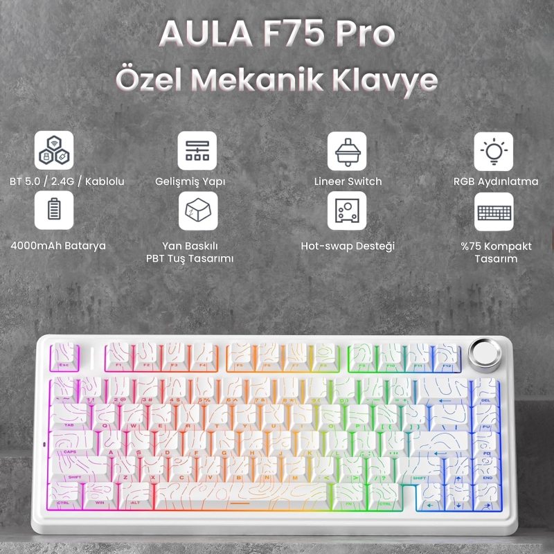 Aula F75 Mekanik RGB TKL Seiya Switch Kablosuz Makrolu Hot Swap Klavye Desenli Beyaz - 2