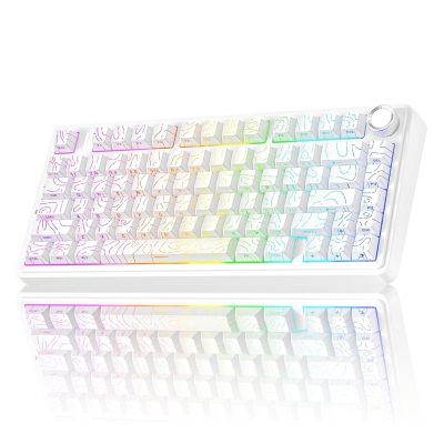 Aula F75 Mekanik RGB TKL Seiya Switch Kablosuz Makrolu Hot Swap Klavye Desenli Beyaz - Aula