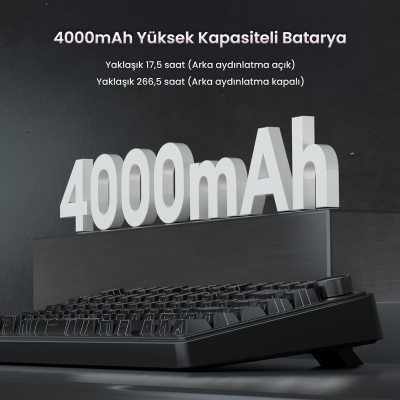 Aula F75 Pro Mekanik RGB TKL Seiya Switch Kablosuz Makrolu Hot Swap Klavye Desenli Siyah - 7