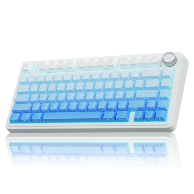 Aula F75 Mekanik RGB TKL Seiya Switch Kablosuz Makrolu Hot Swap Klavye Gradyan Mavi - Aula
