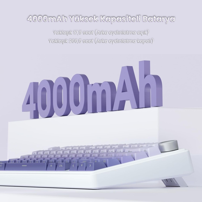 Aula F75 Mekanik RGB TKL Seiya Switch Kablosuz Makrolu Hot Swap Klavye Gradyan Mor - 7