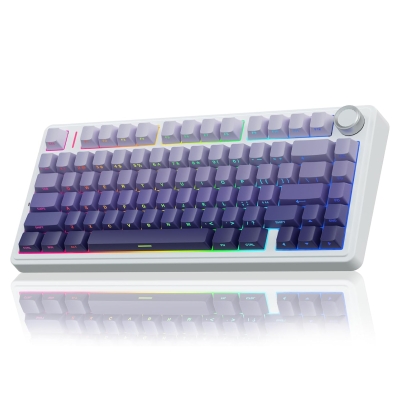 Aula F75 Mekanik RGB TKL Seiya Switch Kablosuz Makrolu Hot Swap Klavye Gradyan Mor - Aula