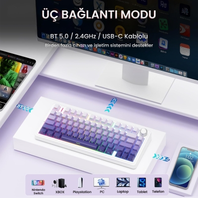 Aula F75 Mekanik RGB TKL Seiya Switch Kablosuz Makrolu Hot Swap Klavye Gradyan Mor - 3