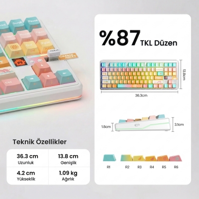 Aula F87 PRO V2 Mekanik RGB TKL Meteor Ice Cream Switch Kablosuz Makrolu Hot Swap Klavye Orange Juice - 7