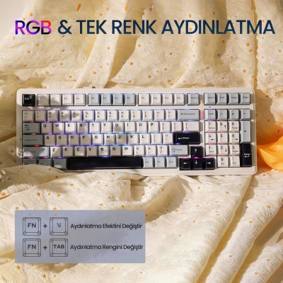 Aula F99 3 Modlu RGB Hot Swap Mekanik Reaper Switch Kablosuz Makrolu Klavye Lacivert - 9