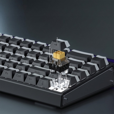 Aula Leobog Black King Manyetik Switch 20 Adet - 4