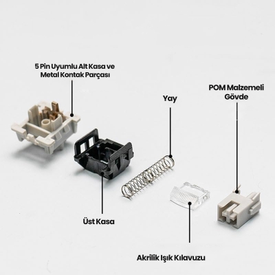 Aula Leobog Gray Wood V4 Lineer Mekanik Switch 100 Adet - 4