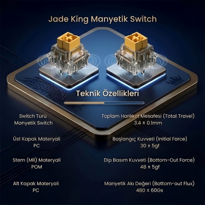 Aula Leobog Jade King Manyetik Switch 20 Adet - 2