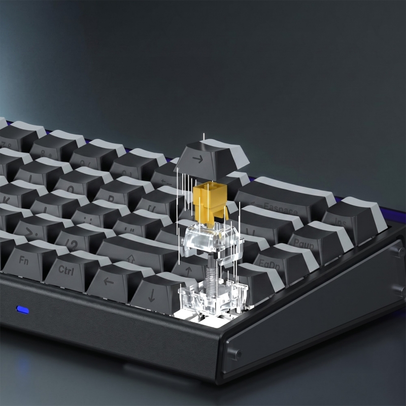 Aula Leobog Jade King Manyetik Switch 20 Adet - 4