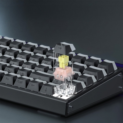 Aula Leobog Pink King Manyetik Switch 20 Adet - 4