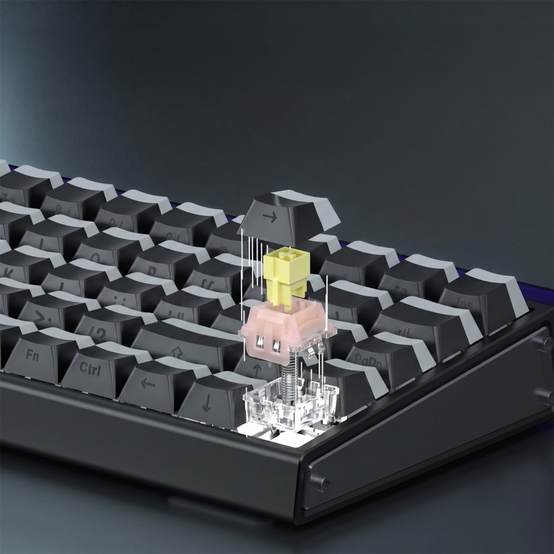 Aula Leobog Pink King Manyetik Switch 20 Adet - 4