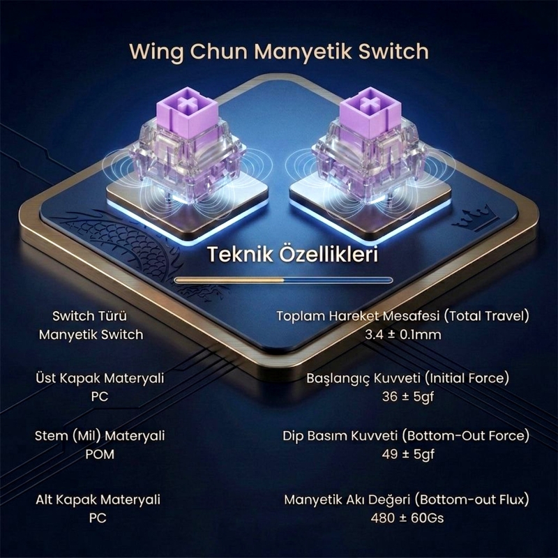 Aula Leobog Wing Chun Manyetik Switch 20 Adet - 2