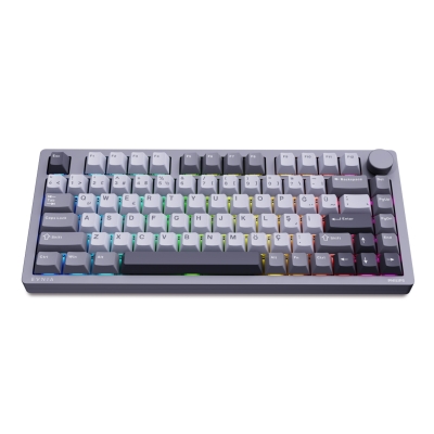 Philips Evnia SPK8618DTRH HotSwap Makrolu 3 Modlu Metal Gaming Oyuncu Klavyesi Gri - Philips