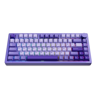 Philips Evnia SPK8618UPRH HotSwap Makrolu 3 Modlu Metal Gaming Oyuncu Klavyesi Mor - Philips
