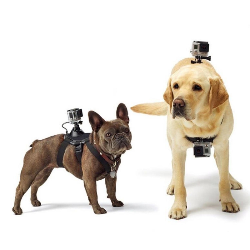 SJCAM Köpekler İçin Pet Fetch Aksiyon Kamera Bağlantı Aparatı - 2