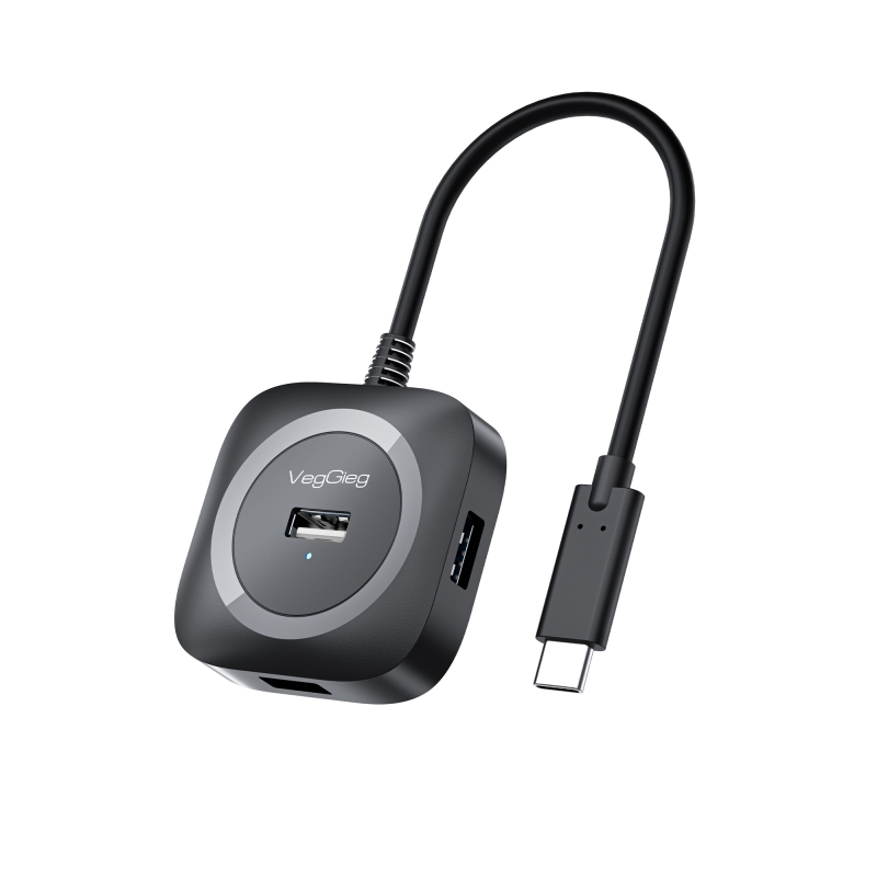 VegGieg 4 Portlu Type-C to USB 3.0 Çoklayıcı Hub - 1