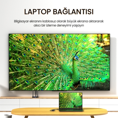 VegGieg 5Ghz Kablosuz HDMI VGA Görüntü Aktarım Cihazı - 7