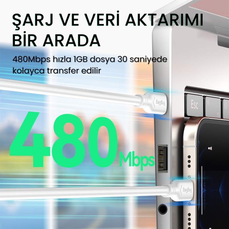 VegGieg 60W Type-C to Type-C Hızlı Şarj ve Data Kablosu 1.2 Metre - 2