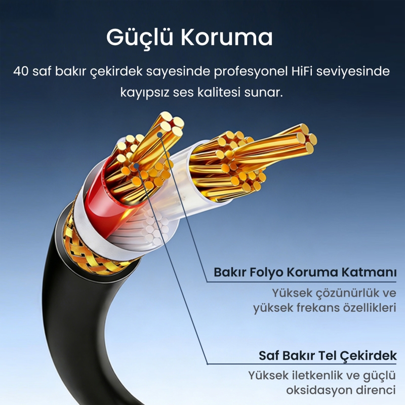 VegGieg 6.35mm to XLR Dişi Mikrofon Kablosu Hi-Fi Ses Kalitesi OFC Bakır Enstrüman Ses Kablosu 2 Metre - 4