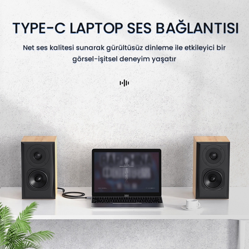 VegGieg USB Type-C to 2 RCA Ses Kablosu 3 Metre - 3